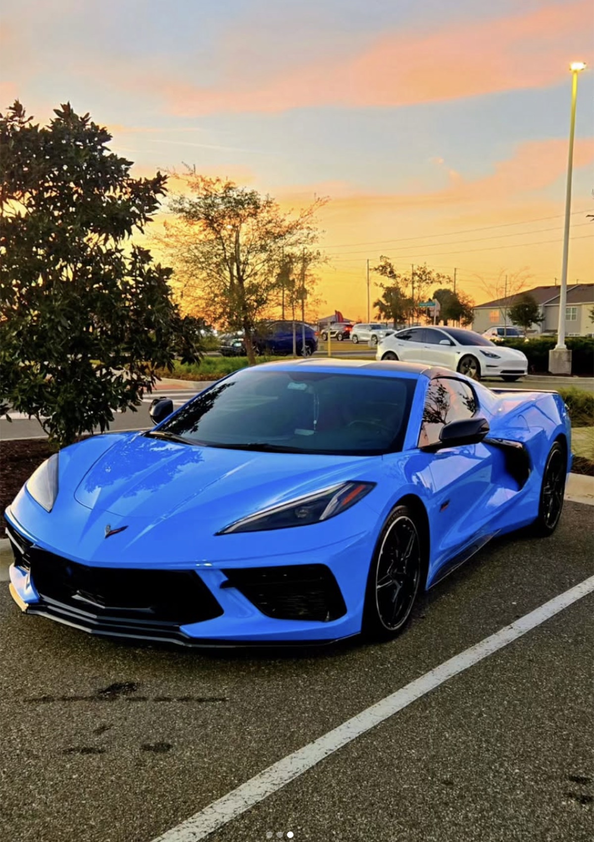 A vivid blue Chevrolet Corvette detailed to a mirror finish at golden hour